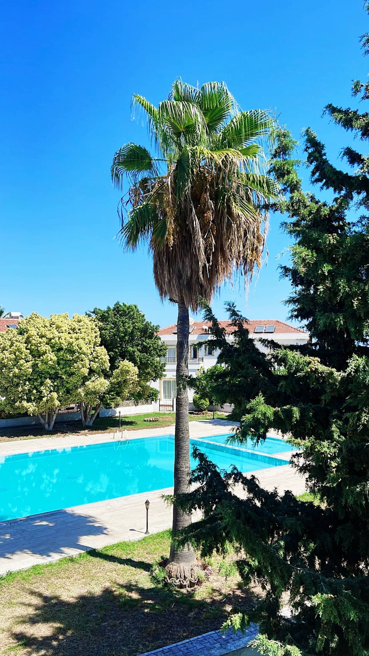 Tropical Cyprus Villa